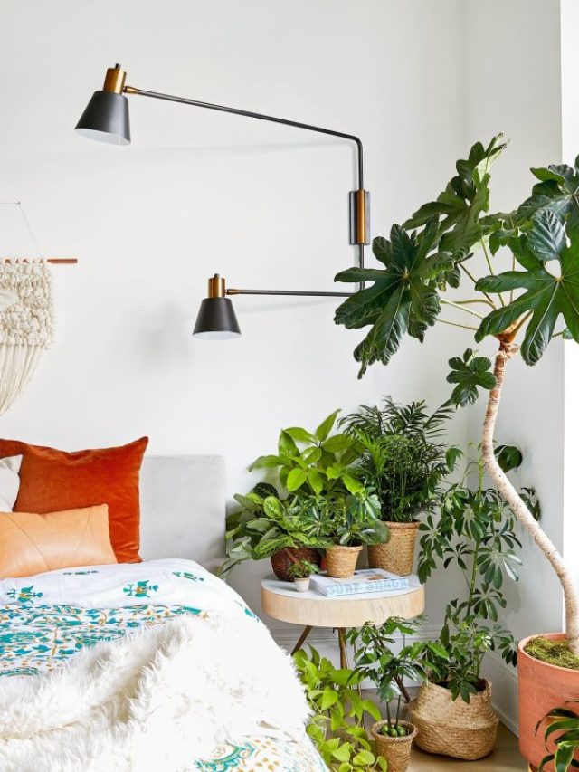 plantas para quarto