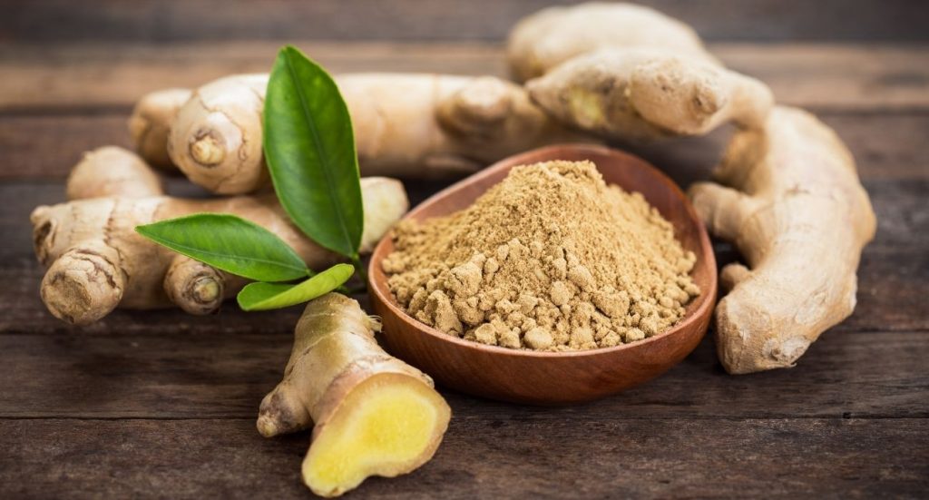 Como plantar gengibre: conheça os passos corretos para cultivar essa planta na horta ou em vaso