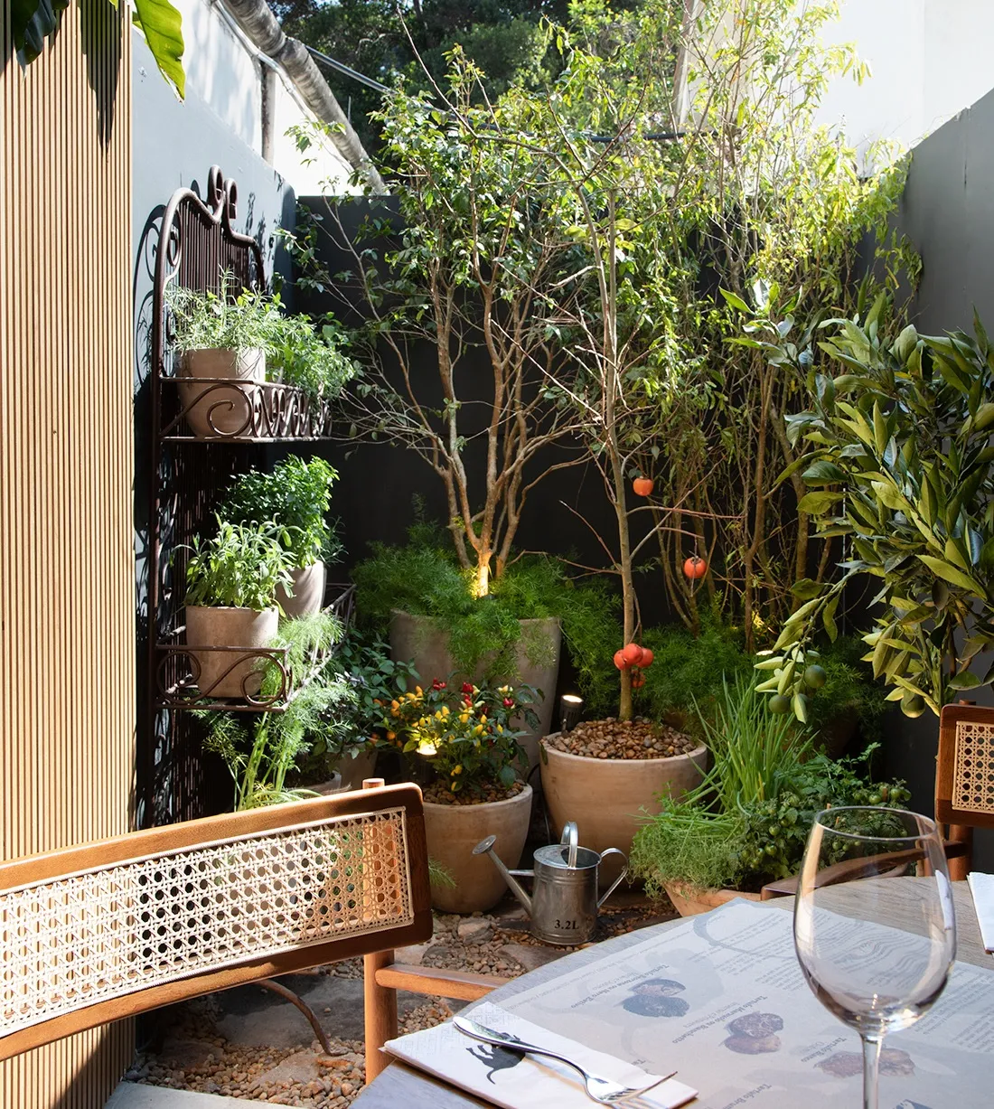 jardim com vasos de plantas e mesa