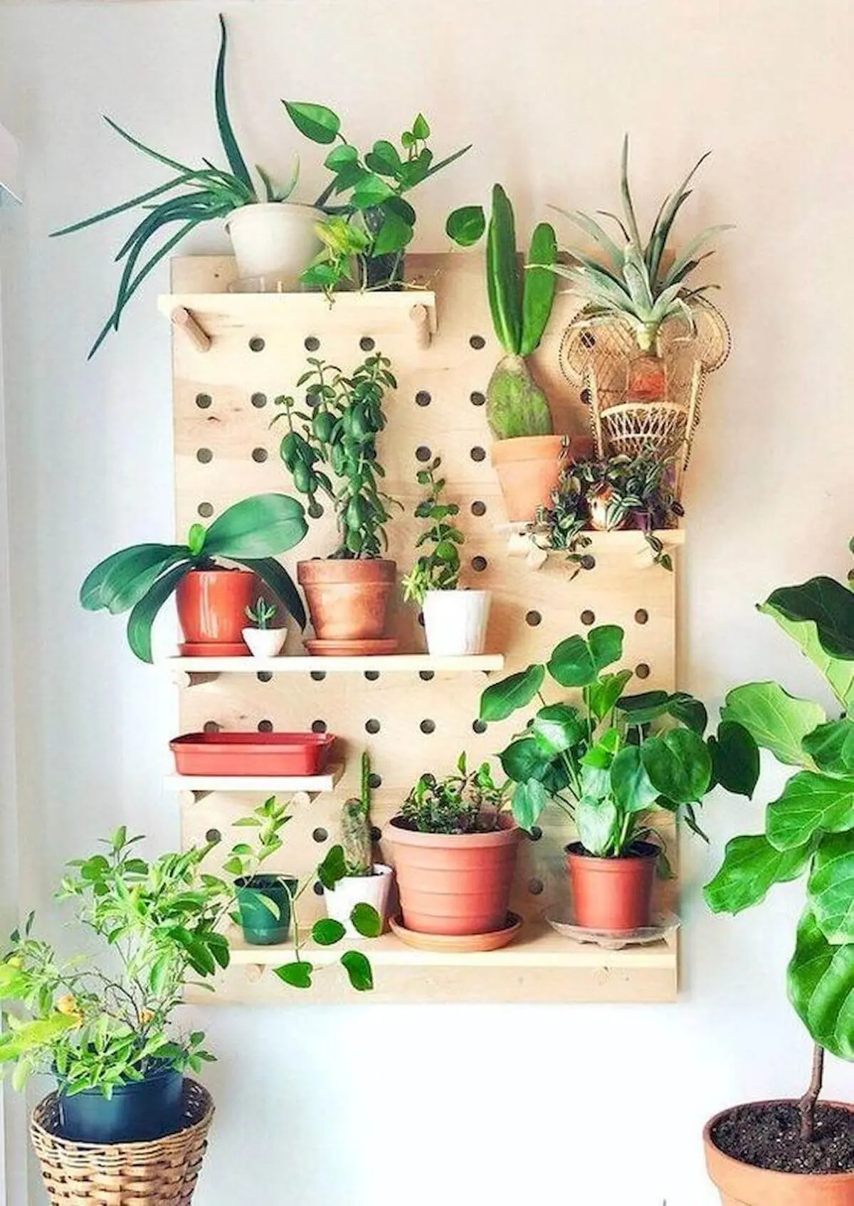 pegboard com plantas