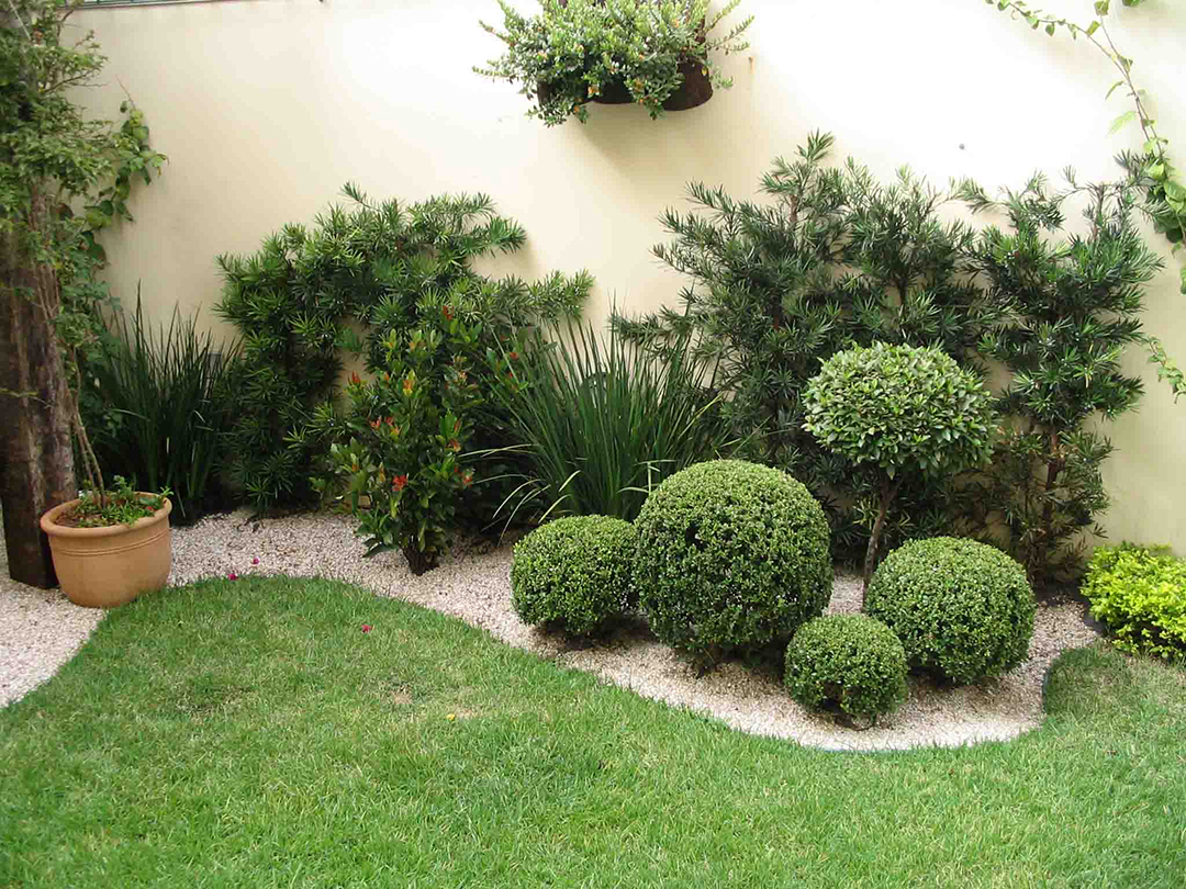 plantas em jardim pequeno