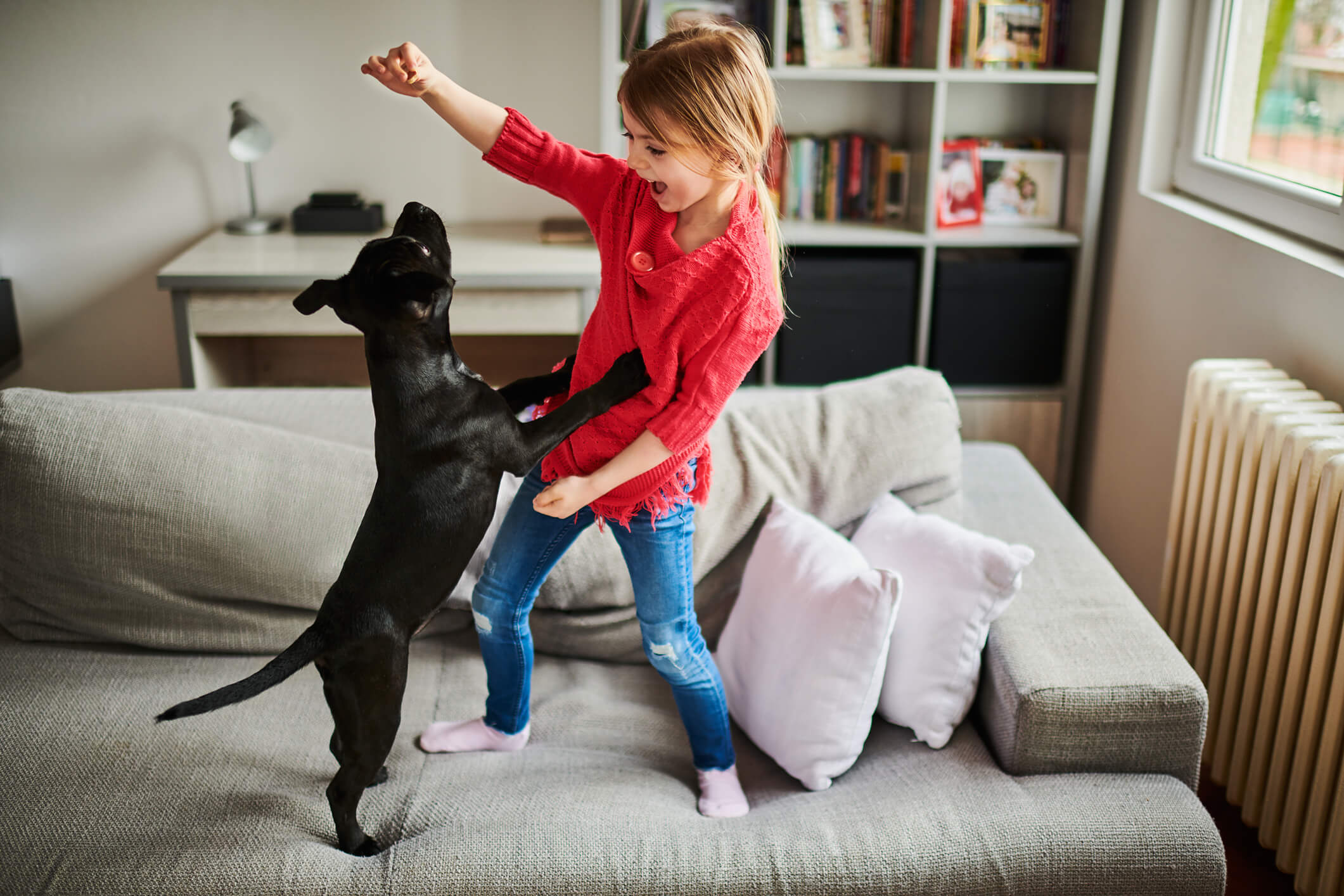 criança brincando com cachorro em cima do sofá