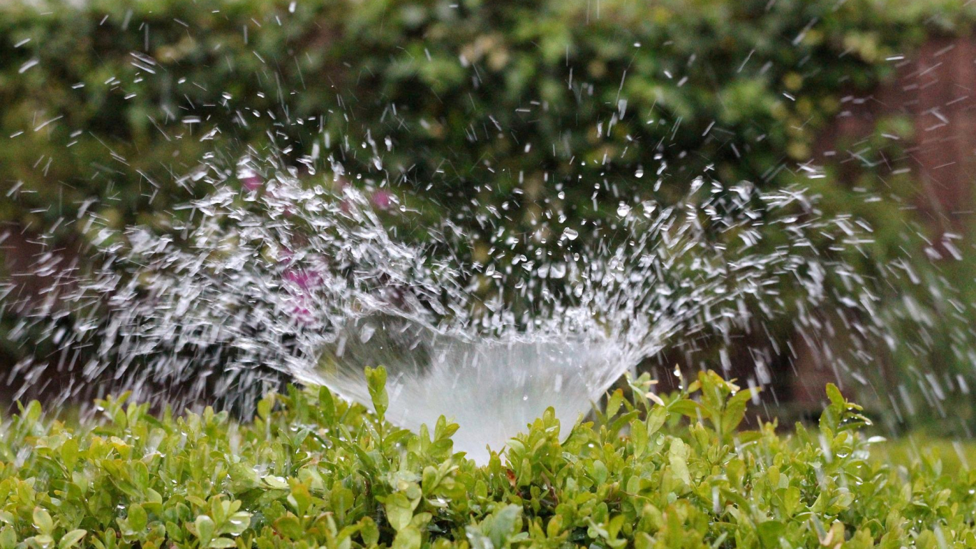 jardim com irrigação