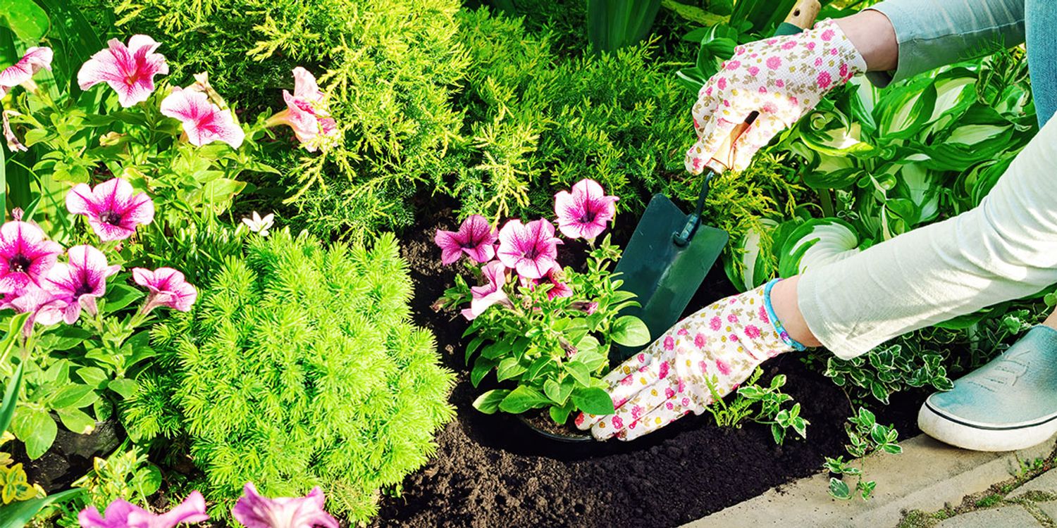 pessoa plantando flores