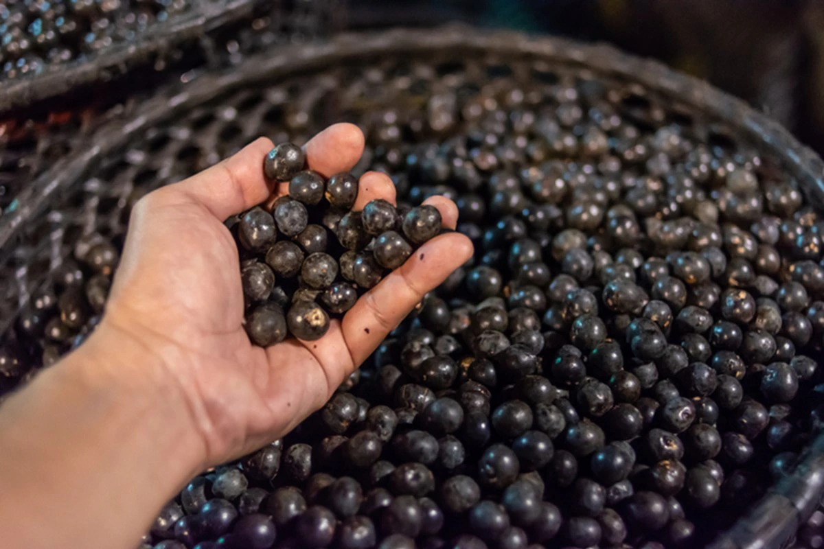 pessoa segurando açaí