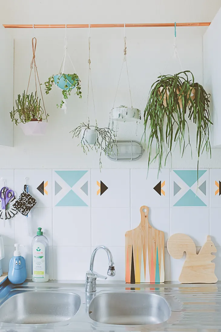 plantas pendentes em suporte na cozinha