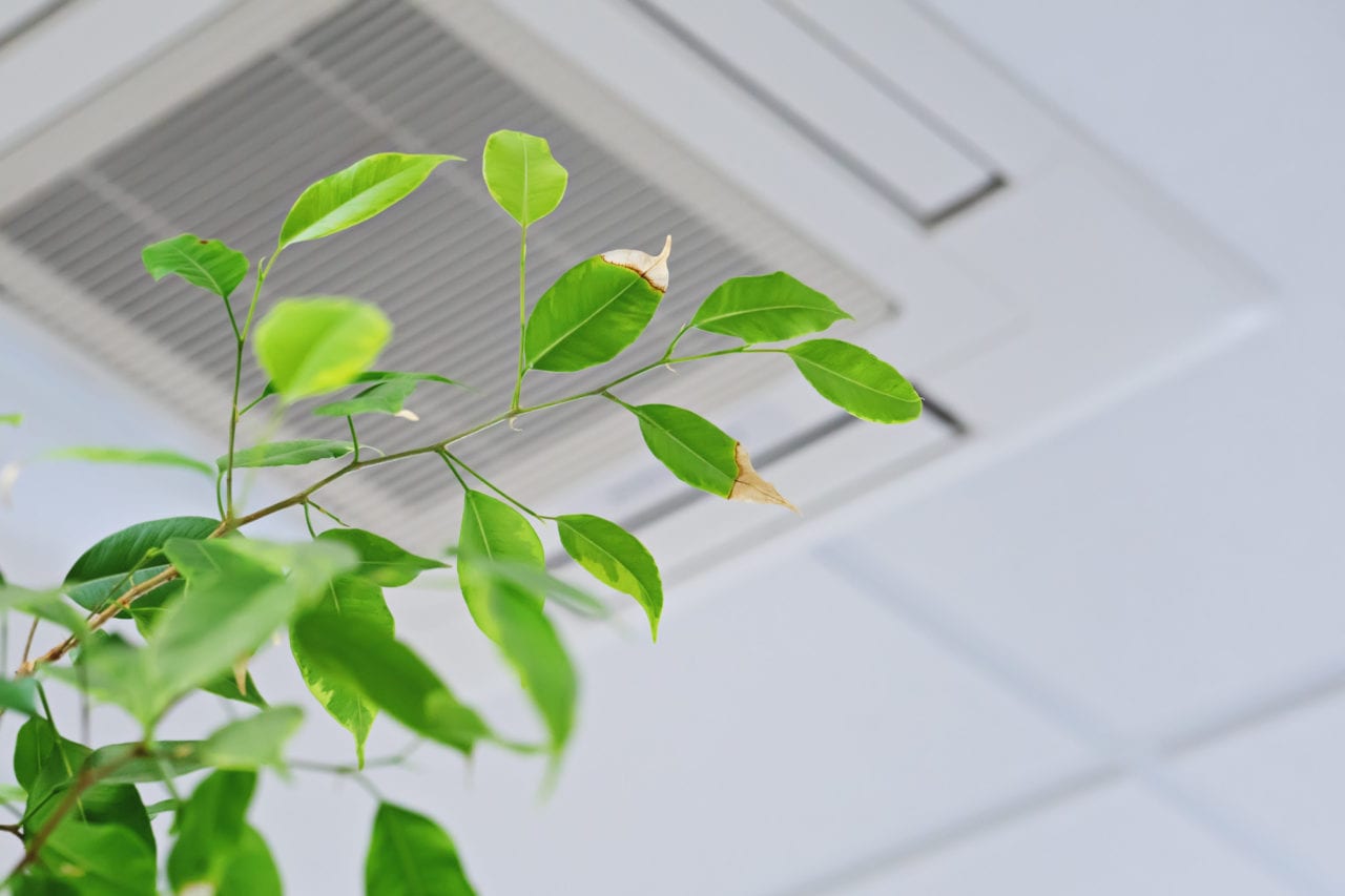 planta com ar-condicionado ao fundo