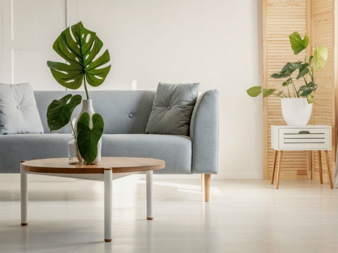 sala minimalista com plantas