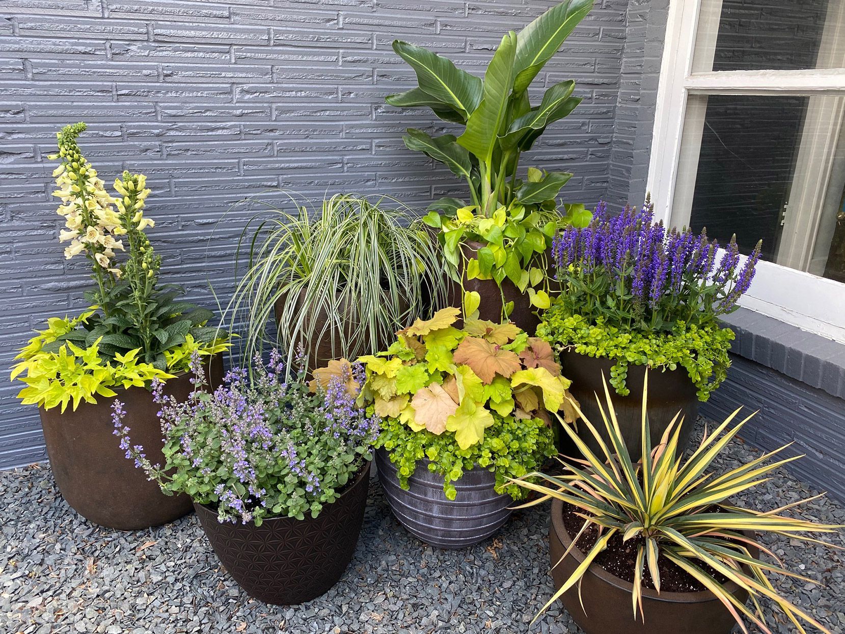 composição de vasos de plantas