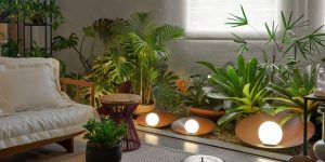 5 ideias INCRÍVES para VOCÊ MESMO fazer um jardim simples em casa - sem ajuda de especialistas