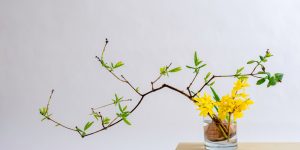 Como fazer ikebana? Aprenda o passo a passo para ter esses arranjos japoneses na decoração