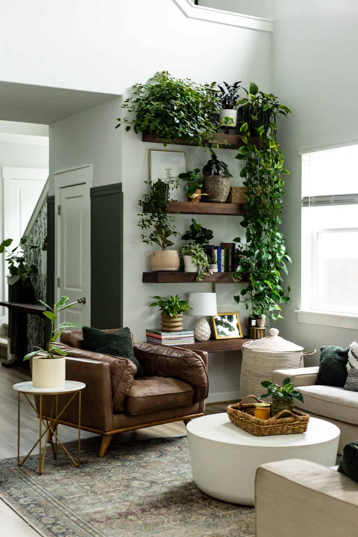 prateleiras com plantas em sala