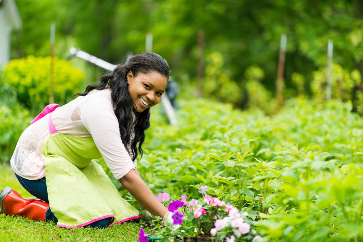 Truques GENIAIS de jardinagem com vaselina: esse item É MUITO ÚTIL!