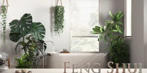 plantas que atraem dinheiro feng shui