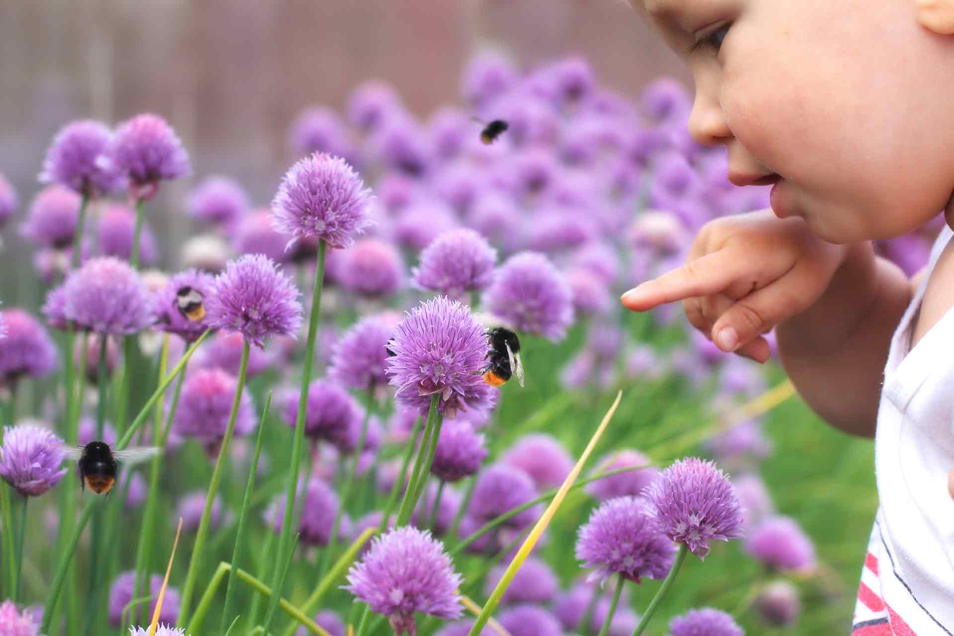 criança perto de flores