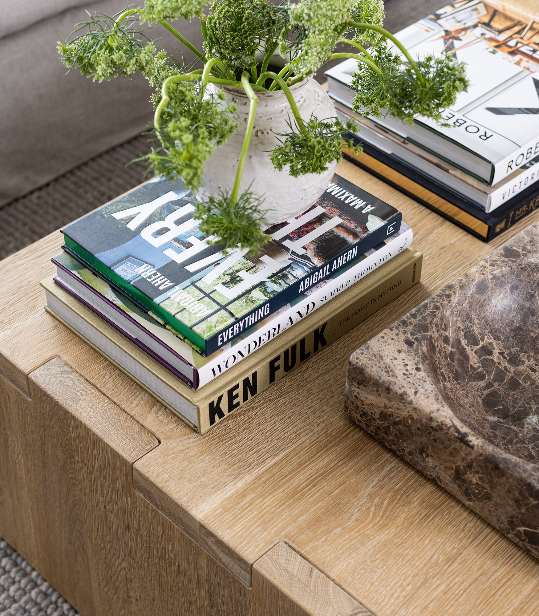 livros e planta em mesa de centro