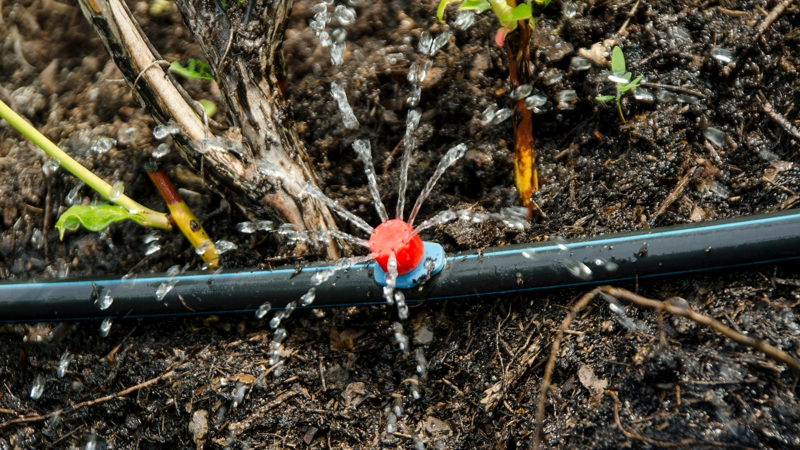 sistema de irrigação para jardim