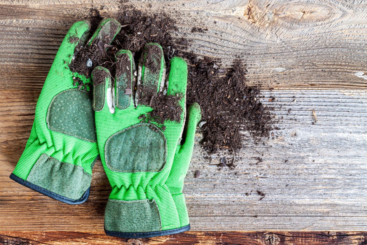 luvas para jardinagem como escolher