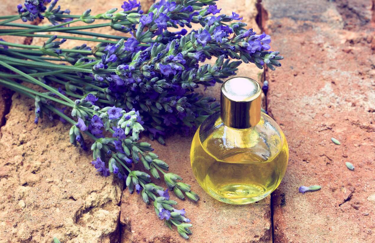 aromatizador caseiro de lavanda