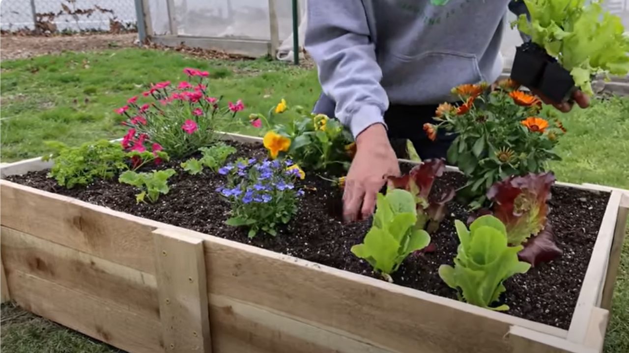 Construindo o Canteiro para seu Jardim Elevado