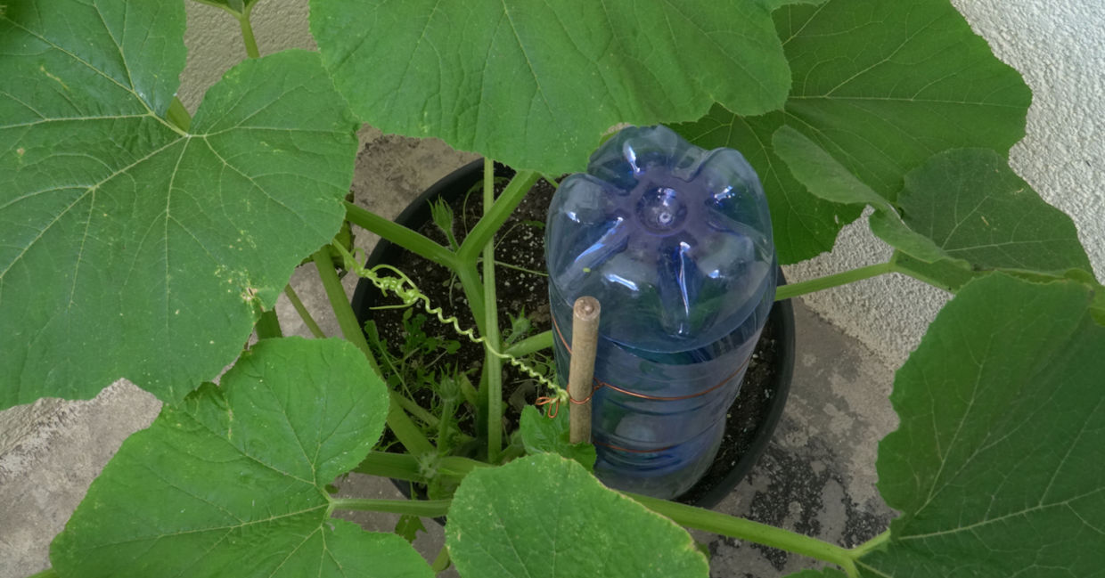 garrafa de cabeça para baixo em vaso como gotejador