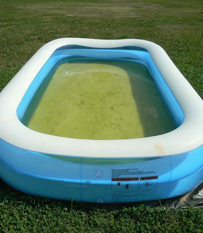 piscina de plástico inflável infantil com água verde