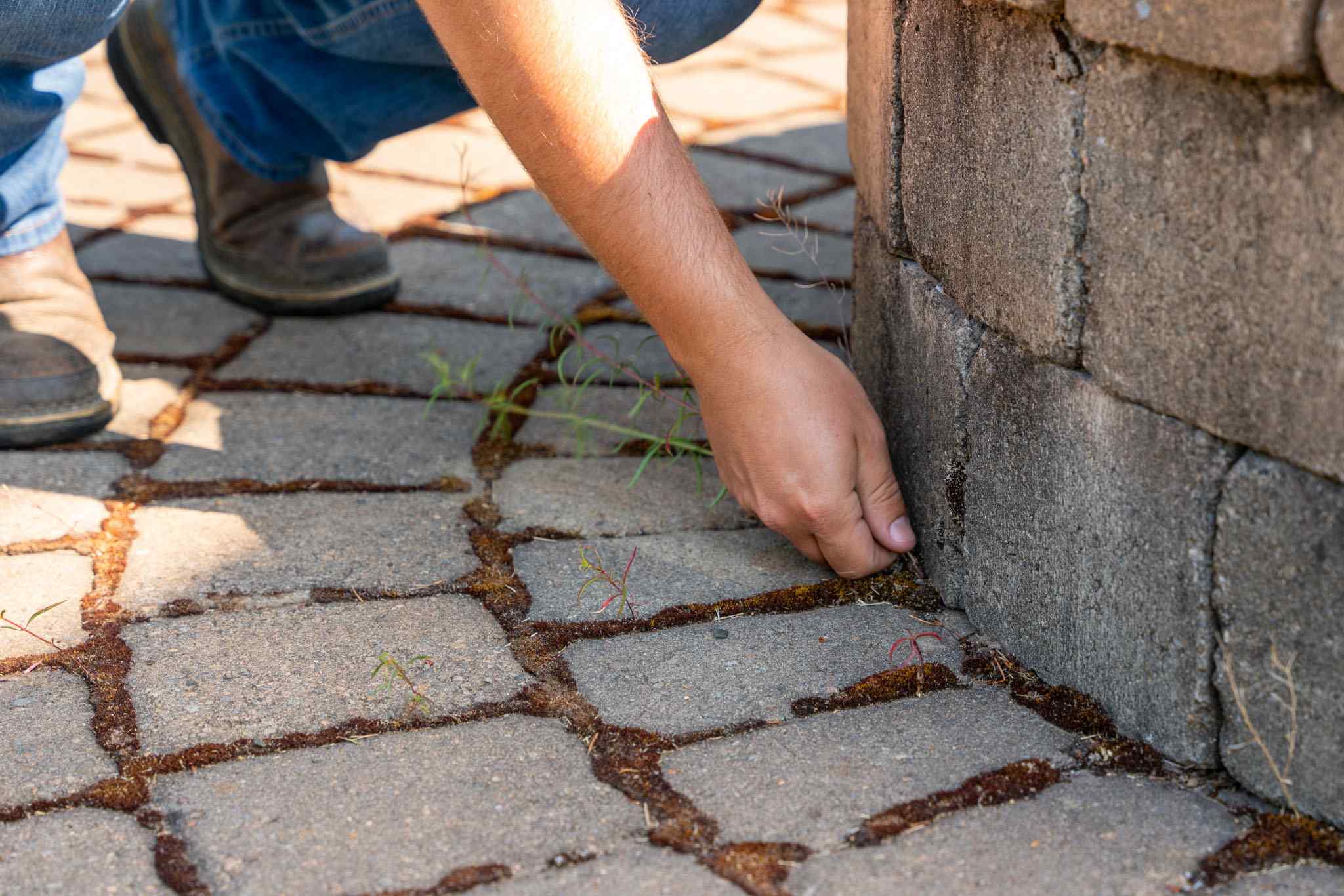 pessoa removendo mato da calçada