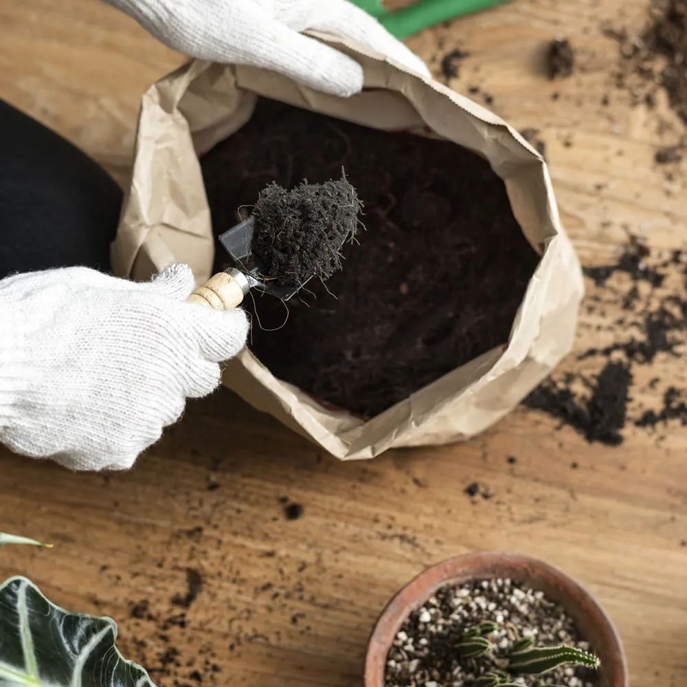 pessoa com pá em substrato para plantas