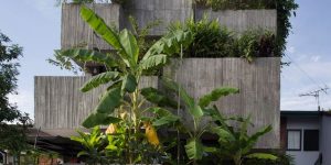 edificio concreto e plantas