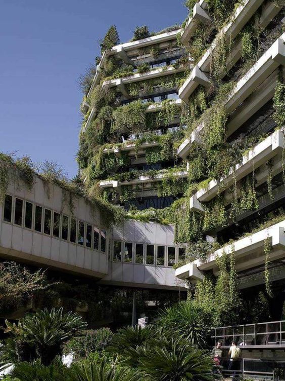 edificio com plantas