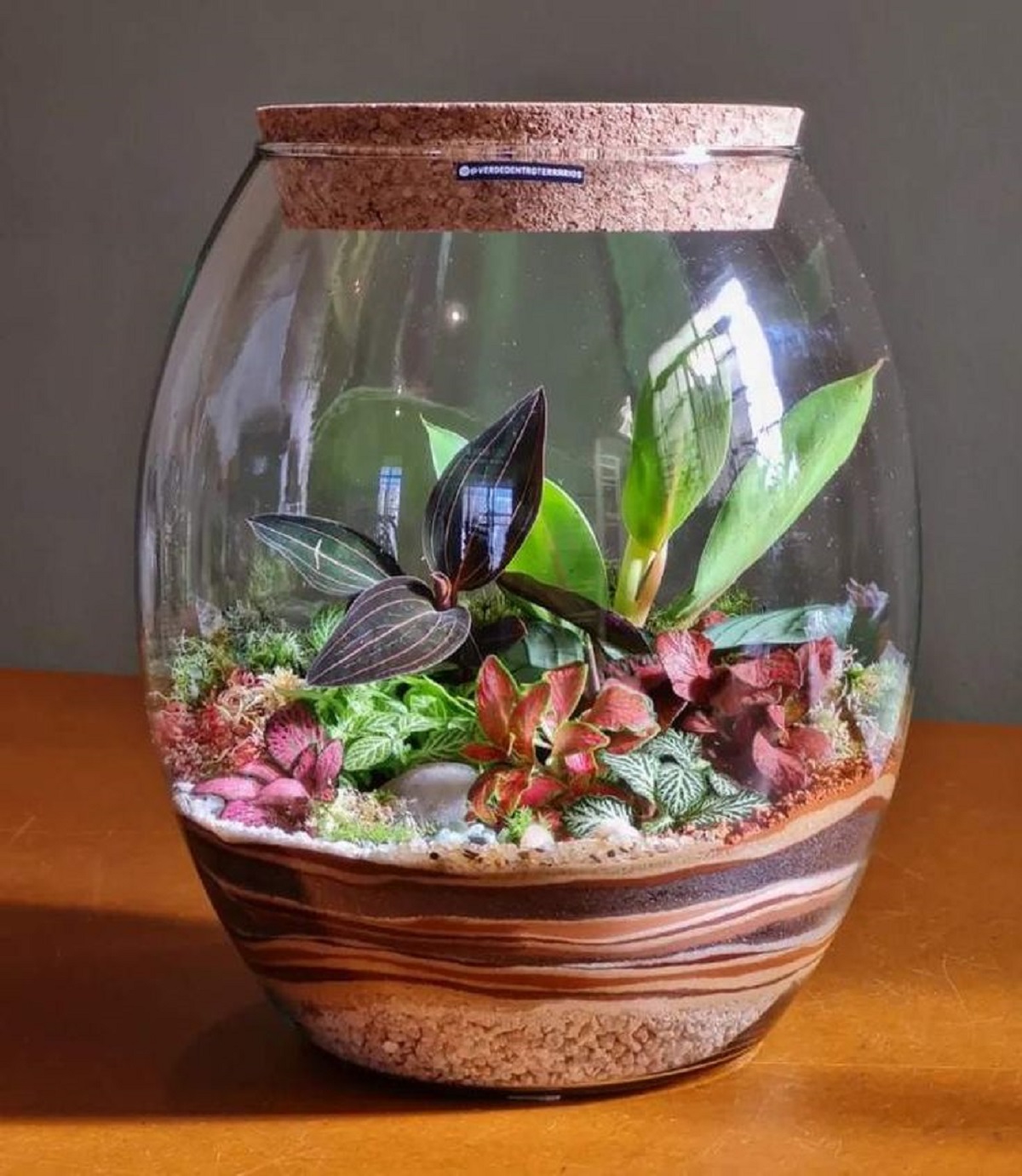 Terrário fechado plantas