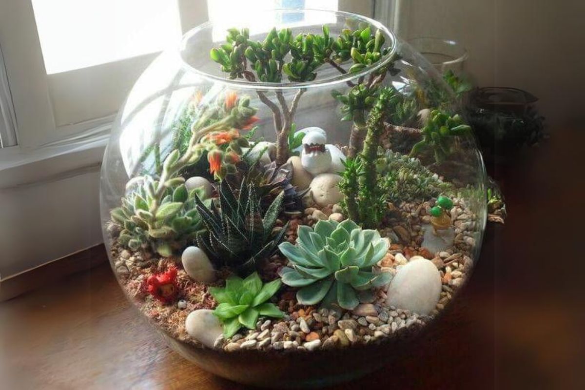 como fazer terrário de vidro (3)