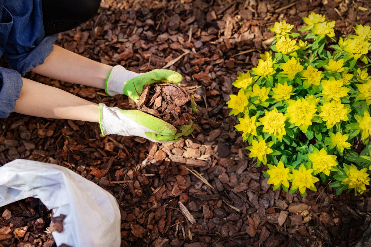 cobrir solo para proteger plantas de frente fria