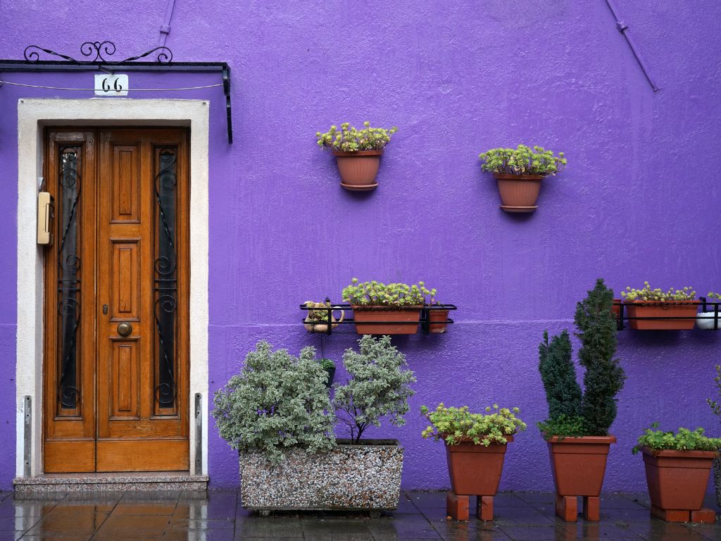 Roxo na Decoração Externa da Casa