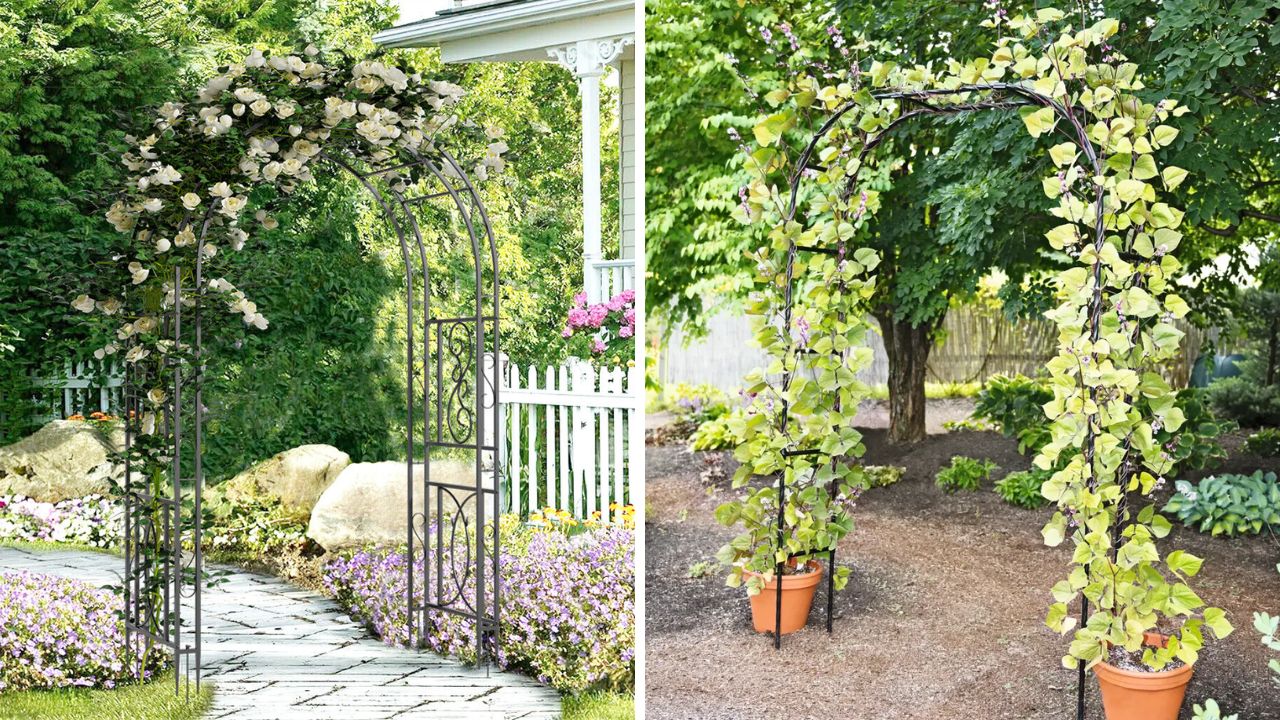 arcos de jardim com flores e plantas