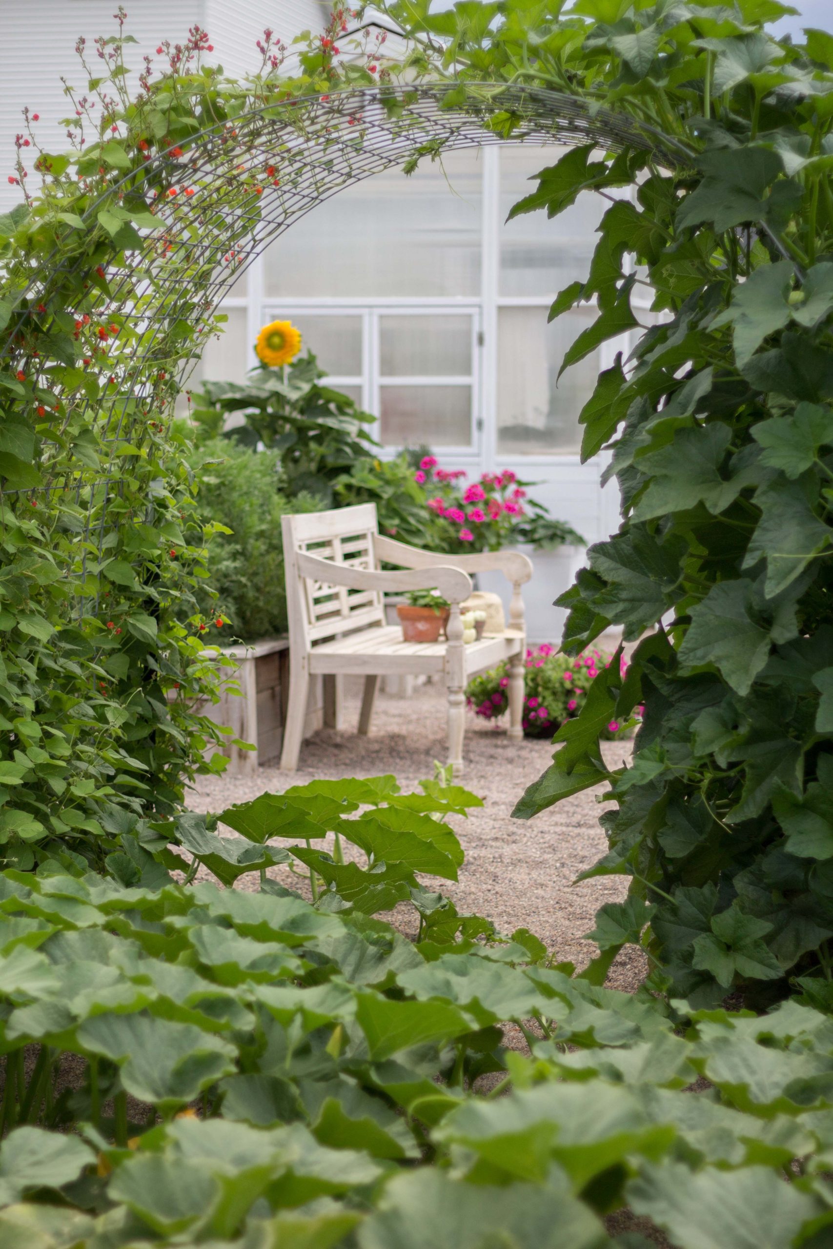 jardim com arco decorado