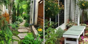 quintal estreito com plantas e flores