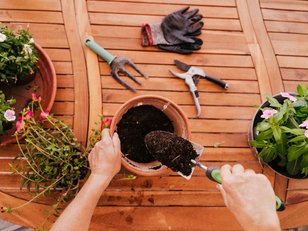 Cuidando do solo para plantas saudáveis